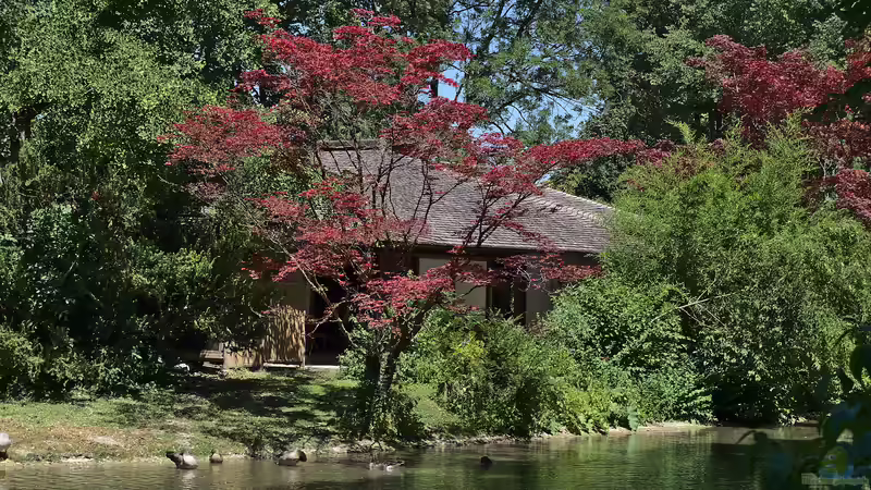 Blog: Ist der Englische Garten in München eine Reise wert? (6262)