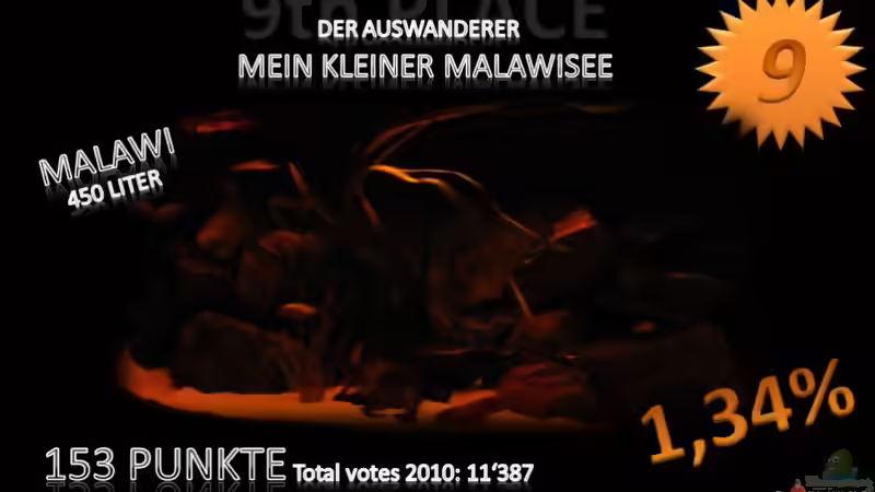 Blog: Jahresranking mal etwas anders (3919)