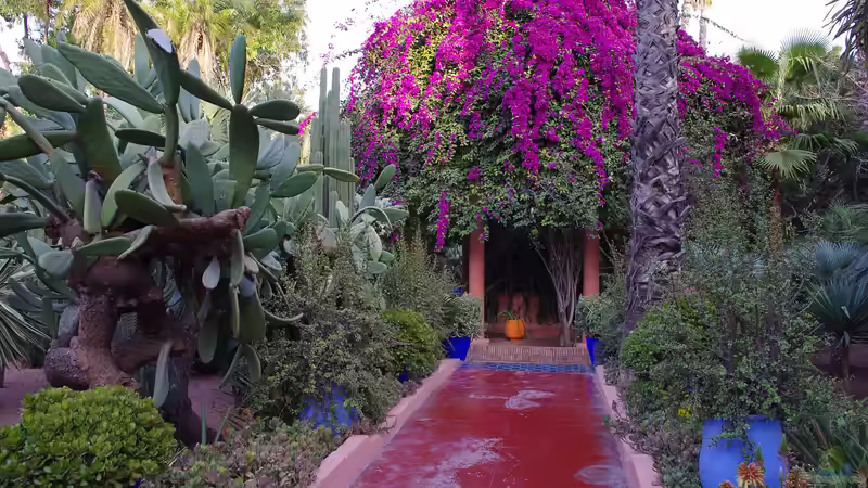 Blog: Jardin Majorelle - Marrakesch für Garten- und Naturliebhaber: Ein botanisches Juwel in der Wüste (7164)