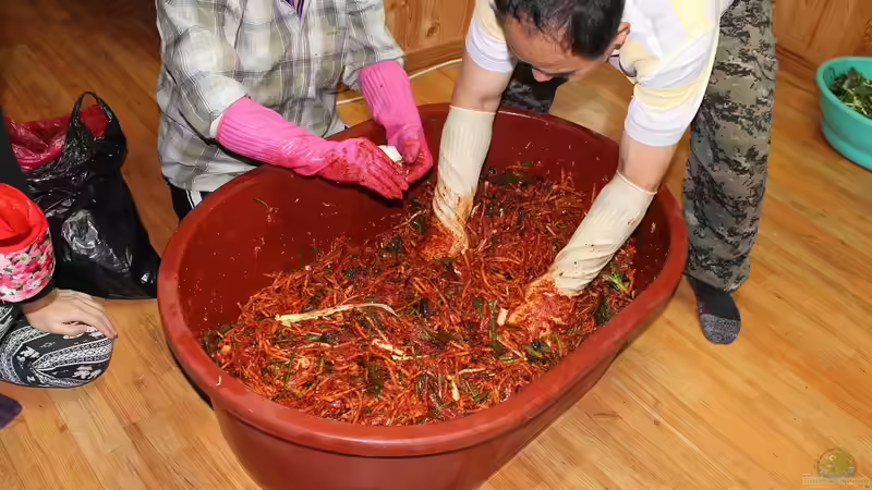 Blog: Kimchi selbst machen - der große, ausführliche Guide (7531)
