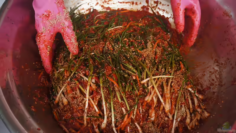 Blog: Kimchi selbst machen - der große, ausführliche Guide (7531)