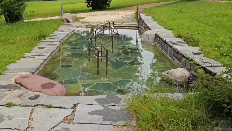 Blog: Kneipp-Therapie im eigenen Garten: So planst du dein eigenes Tretbecken (7153)