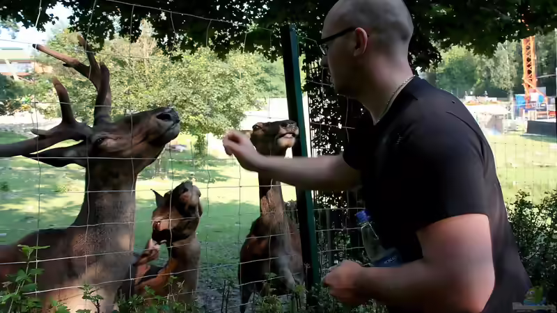 Blog: Koehler unterwegs - Opel Zoo (4834)