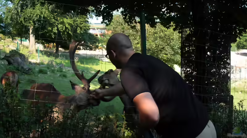 Blog: Koehler unterwegs - Opel Zoo (4834)