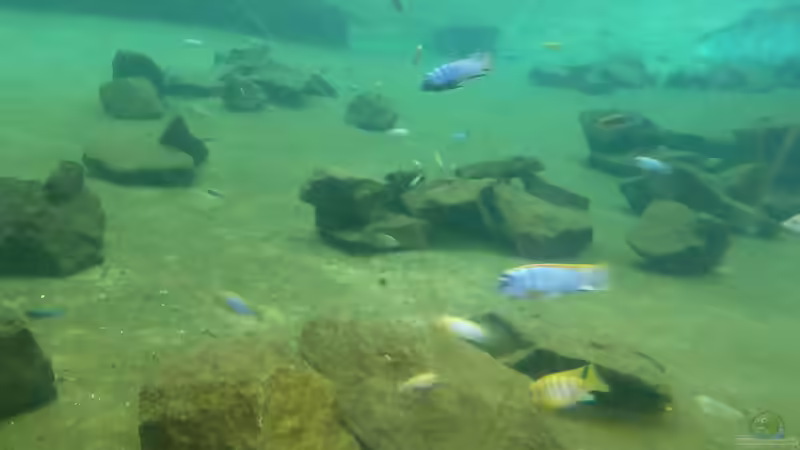 Blog: Kölner Zoo / Aquarium (4036)