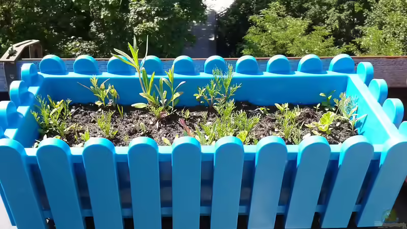 Blog: Kräutergarten auf dem Balkon: Frische Aromen auf kleinstem Raum erfolgreich anbauen (7800)