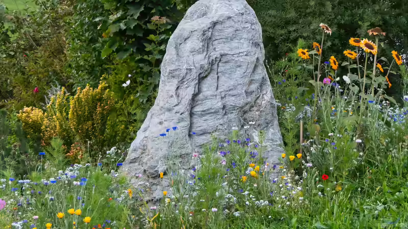 Blog: Lebensräume für Tiere im Garten schaffen - So wird der Garten zu einem Paradies für die heimische Tierwelt (7981)