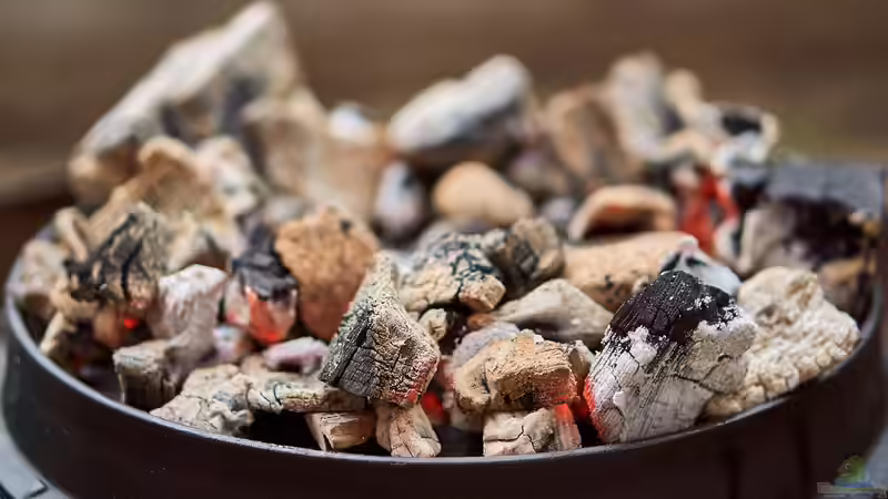 Blog: Leckere Rezepte für den Dutch Oven - Genuss aus Gusseisen unter freiem Himmel (7272)