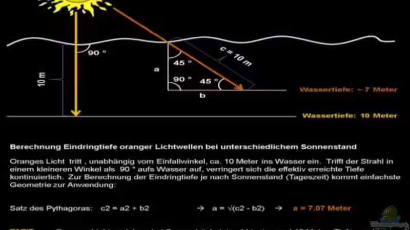 Blog: Lichtverhältnisse im Wasser / Malawisee (3632)