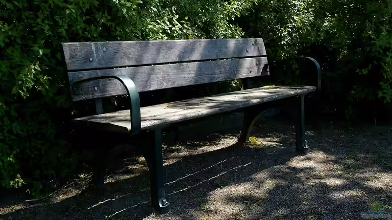 Blog: Lichtverhältnisse verstehen: Schatten, Halbschatten, Sonne (6717)