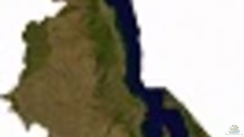 Blog: Malawi... Land, Leute, See... (3112)