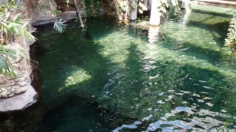 Blog: Malawi-AQ im Tropen-Aquarium-Hagenbeck (3321)