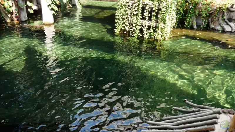 Blog: Malawi-AQ im Tropen-Aquarium-Hagenbeck (3321)