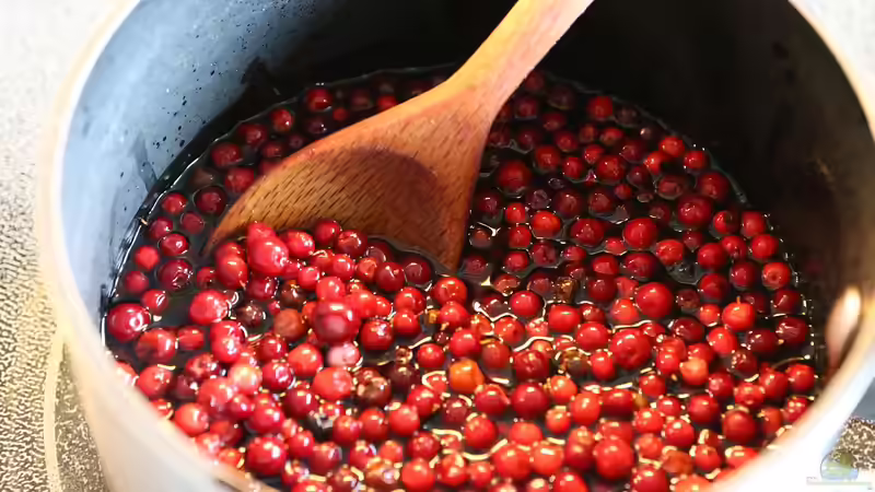 Blog: Marmelade aus Früchten des eigenen Gartens: Schritt-für-Schritt-Anleitung für köstliche Naturprodukte (7362)