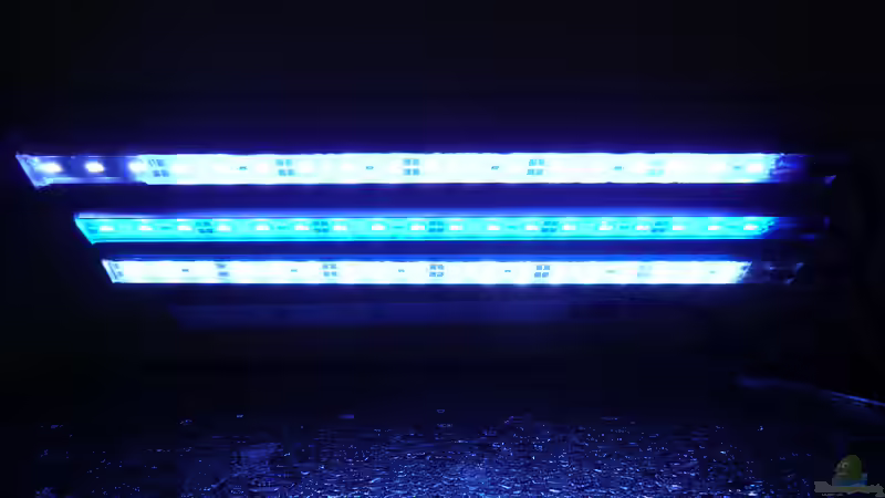 Blog: Meerwasseraquarium optimal beleuchten: Licht als Schlüssel für gesunde Korallen und stabile Riffaquarien (8069)