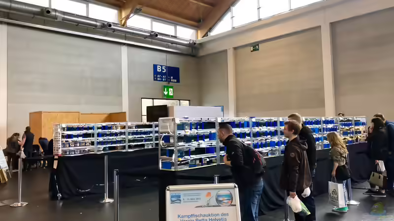 Blog: Mein Besuch auf der Aqua-Fisch in Friedrichshafen (5341)