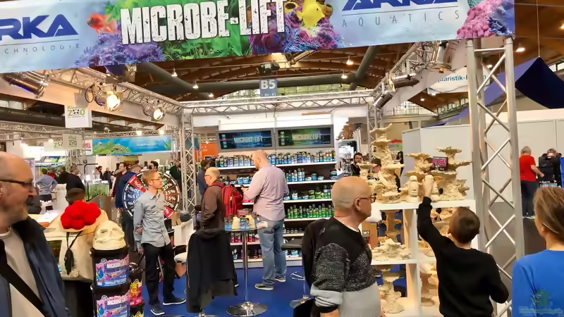 Blog: Mein Besuch auf der Aqua-Fisch in Friedrichshafen (5341)