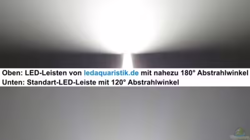 Blog: Meine LED-Beleuchtung - stromsparend, leistungsstark, naturnah, bezahlbar (4835)