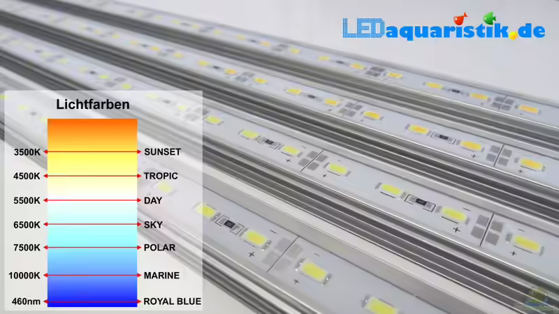 Blog: Meine LED-Beleuchtung - stromsparend, leistungsstark, naturnah, bezahlbar (4835)