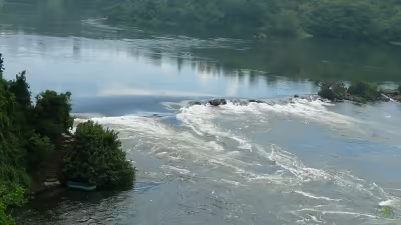 Blog: Meine Reise nach Uganda (Victoriasee)! (2961)