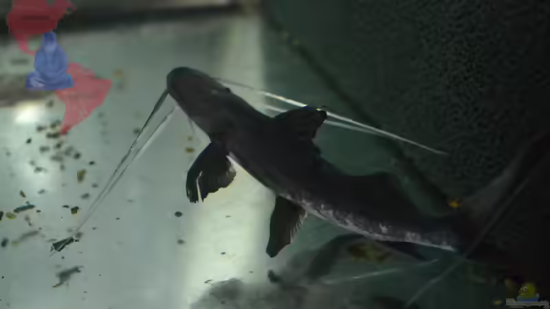 Blog: Mich@ on Tour: Ein Besuch bei Aquarium Glaser (4531)