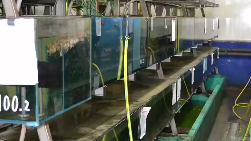 Blog: Mich@ on Tour: Ein Besuch bei Aquarium Glaser (4531)