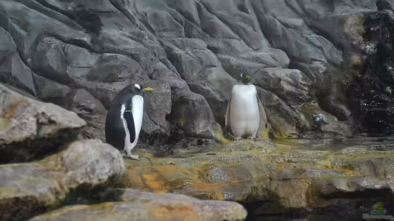 Blog: Mich@ on Tour: Ein Besuch im Düsseldorfer Aquazoo Löbbecke Museum (4793)