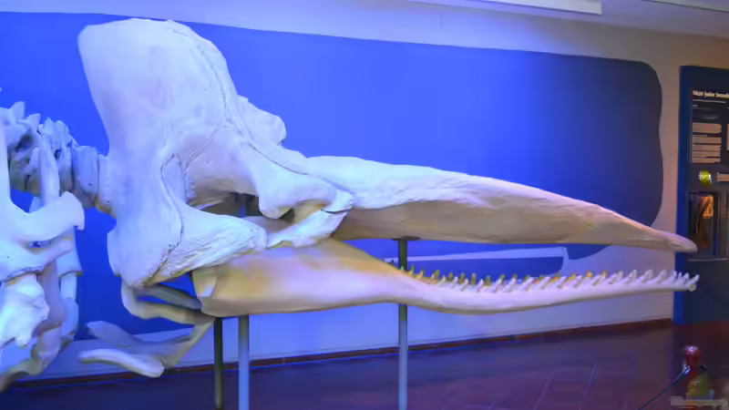 Blog: Mich@ on Tour: Ein Besuch im Düsseldorfer Aquazoo Löbbecke Museum (4793)