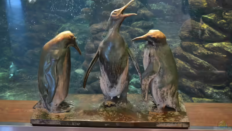 Blog: Mich@ on Tour: Ein Besuch im Düsseldorfer Aquazoo Löbbecke Museum (4793)