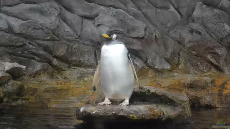 Blog: Mich@ on Tour: Ein Besuch im Düsseldorfer Aquazoo Löbbecke Museum (4793)