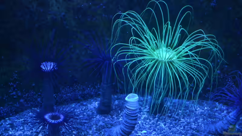 Blog: Mich@ on Tour: Ein Besuch im Düsseldorfer Aquazoo Löbbecke Museum (4793)