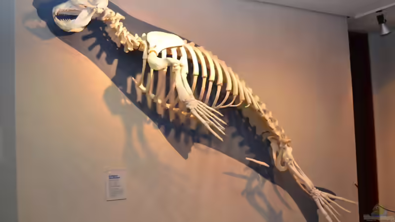 Blog: Mich@ on Tour: Ein Besuch im Düsseldorfer Aquazoo Löbbecke Museum (4793)