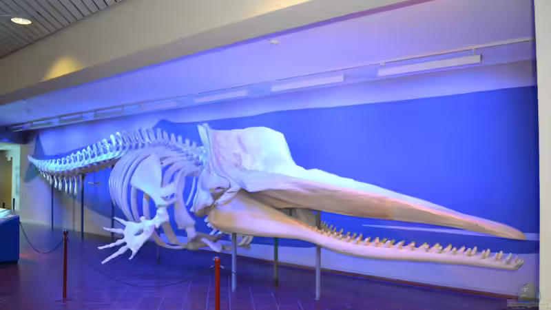 Blog: Mich@ on Tour: Ein Besuch im Düsseldorfer Aquazoo Löbbecke Museum (4793)
