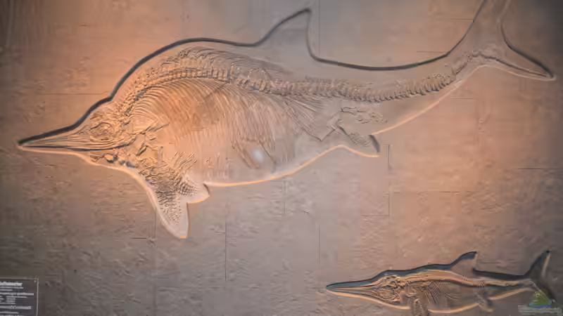 Blog: Mich@ on Tour: Ein Besuch im Düsseldorfer Aquazoo Löbbecke Museum (4793)