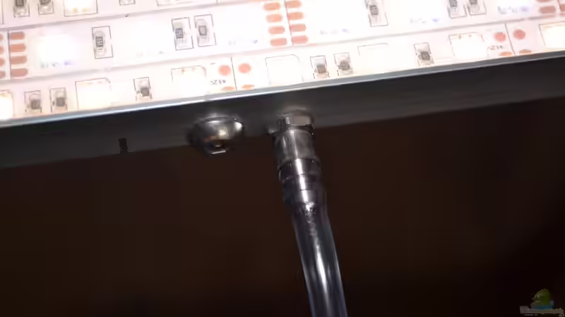Blog: Mich@`s Stiftung Aqua-Test:  Test der LUM-Light Aqua LED Styl RGB (4775)