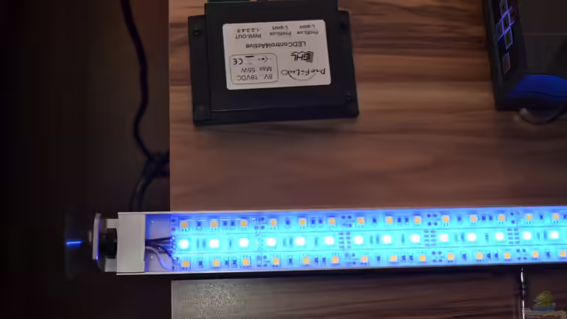 Blog: Mich@`s Stiftung Aqua-Test:  Test der LUM-Light Aqua LED Styl RGB (4775)