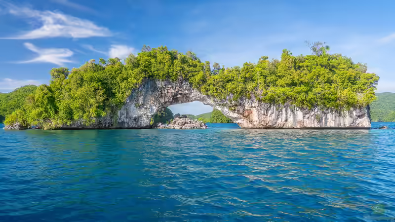 Blog: Mikronesien: Ein Paradies für Aquarianer und Naturfreunde (7624)