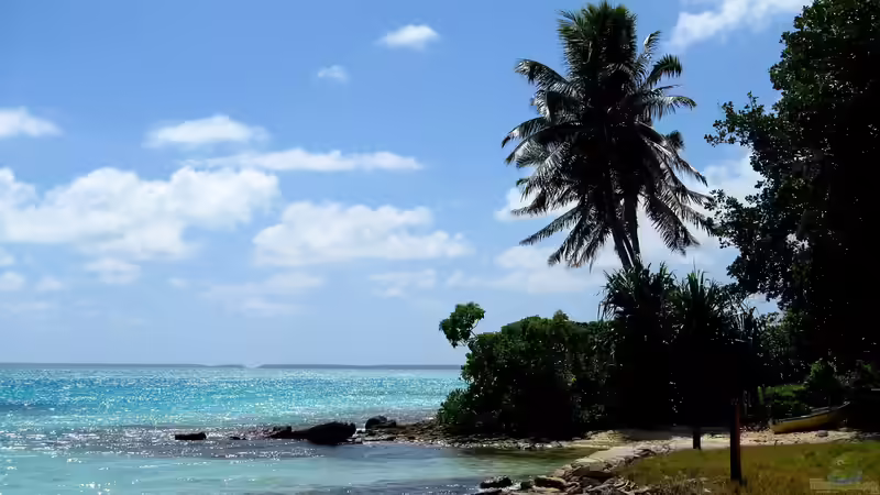Blog: Mikronesien: Ein Paradies für Aquarianer und Naturfreunde (7624)