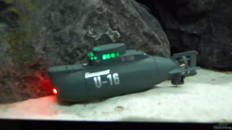 Blog: Mit dem U-Boot durch den Malawisee (4425)