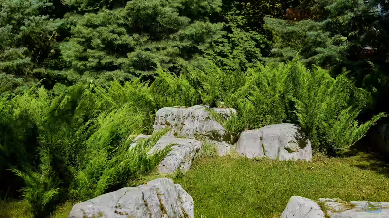 Blog: Moderne Gartengestaltung: Das sind die 5 goldenen Regeln (7936)