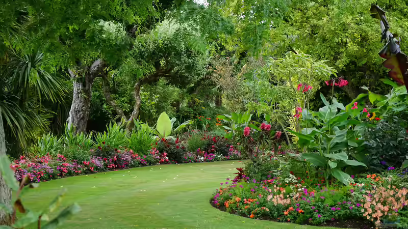 Blog: Moderne Gartengestaltung: Das sind die 5 goldenen Regeln (7936)
