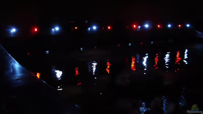 Blog: Moderne Lichtsteuerung: Abenddämmerung im Aquarium (7590)