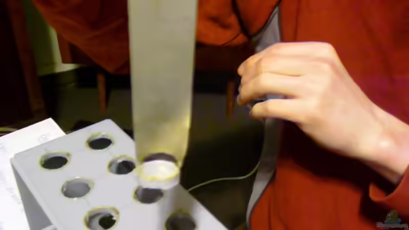 Blog: Modulprojekt (Teil2) - Basis-Station - (Schalteinheit)  (1230)