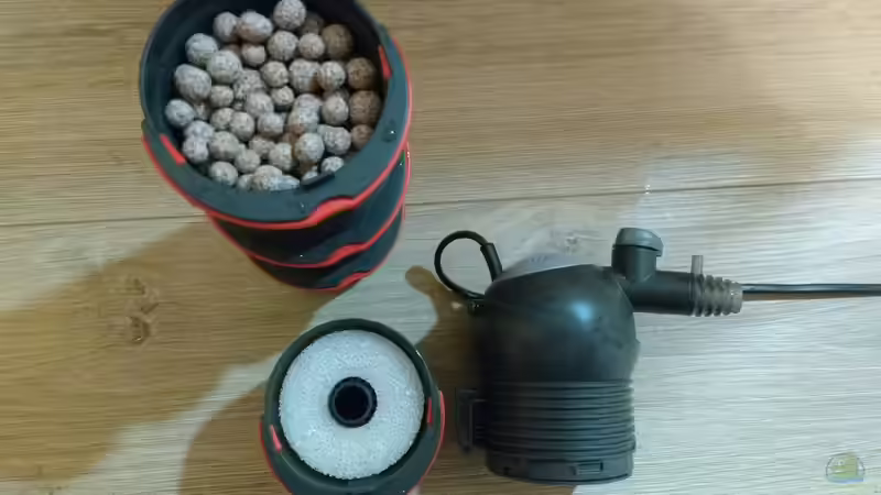 Blog: Neuer Aquarienfilter: Das sind die häuftigsten Fehler der Aquarianer beim Kauf (7781)