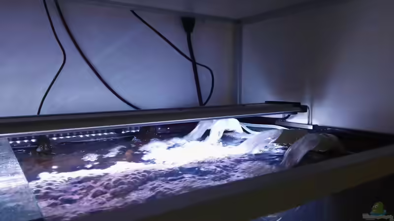 Blog: Neues Projekt: 4x 300 Liter fürs Büro (5228)