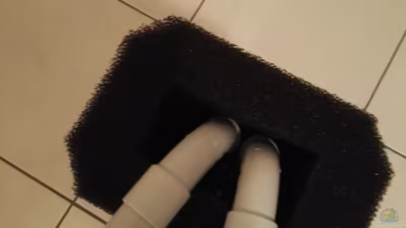 Blog: Neues Projekt: 4x 300 Liter fürs Büro (5228)