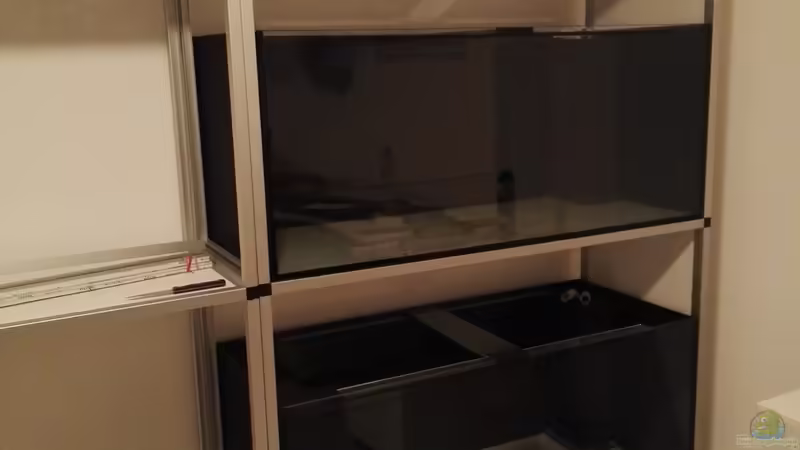 Blog: Neues Projekt: 4x 300 Liter fürs Büro (5228)