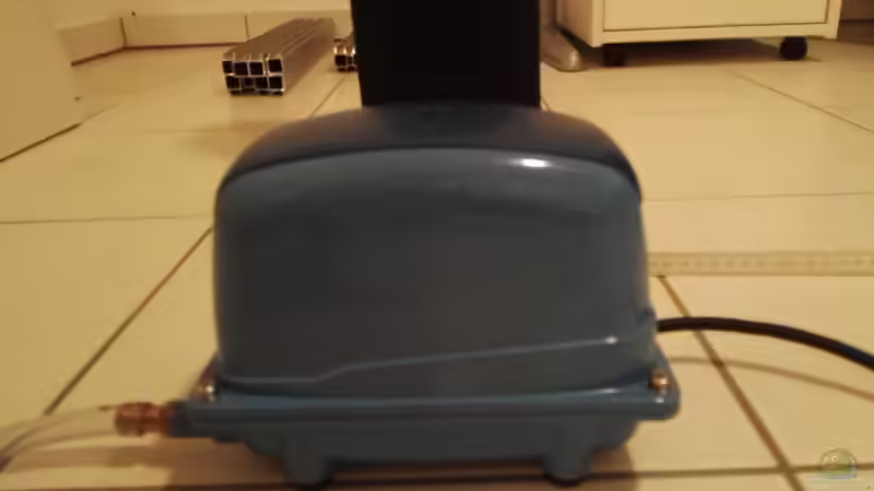 Blog: Neues Projekt: 4x 300 Liter fürs Büro (5228)