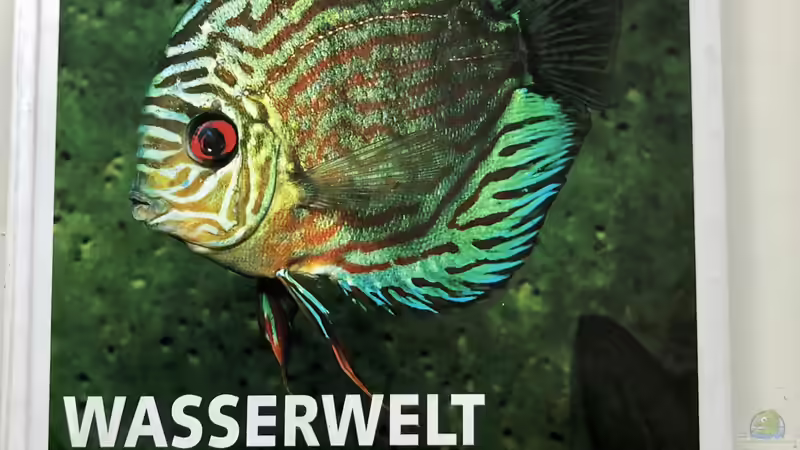 Blog: Orientierung in der Aquaristik - Fisch-Arten 1/2 (5412)