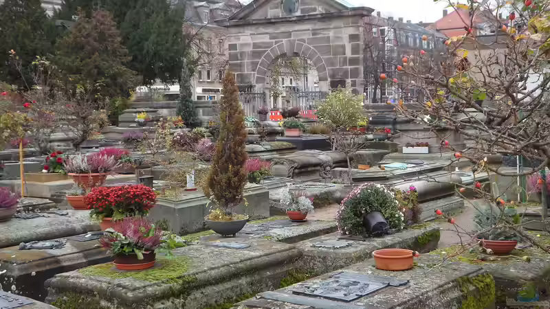 Blog: Pflanzen für Allerheiligen - Die schönsten Blumen und Pflanzen zur Grabgestaltung im Herbst (7375)
